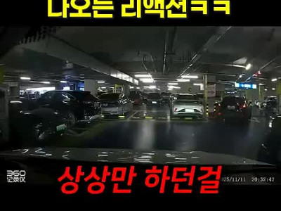 진짜 광기를 보면 나오는 리액션