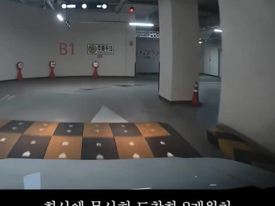 블박) 초보운전자의 귀여운 자동차 사고