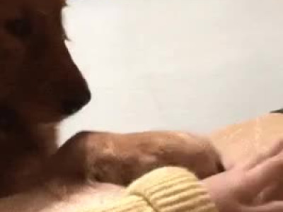 내가 더 사랑해