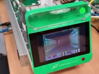 인공 배양된 뇌세포 충격적 근황.doom