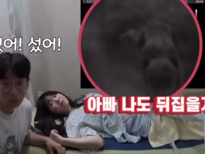 임산부가 남편에게 하는 몰카
