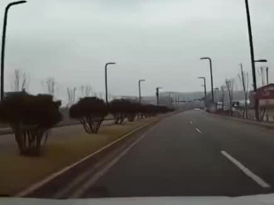 남편한테 운전 배우면 안되는 이유