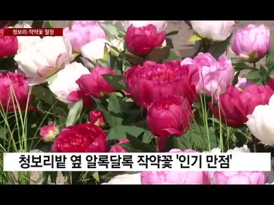 남편 발언에 경악하는 아내