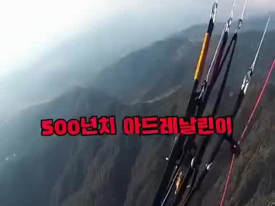 패러글라이딩 중 생존 영화 찍기
