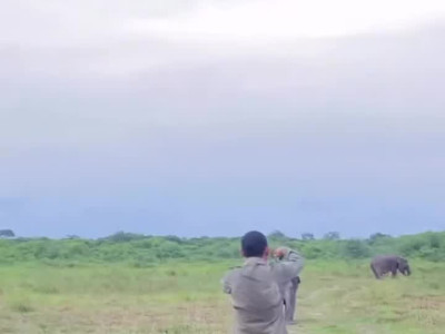 안 안아주자 삐져서 난리난 아기 코끼리