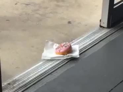 바닥에 떨어진 음식 함부로 먹으면 안 되는 이유