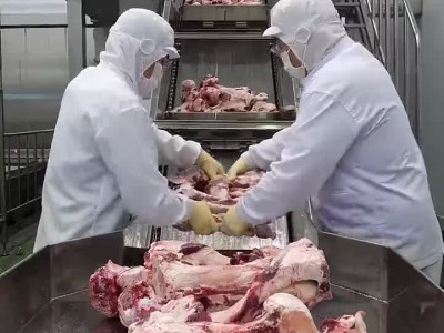 국내 넘버원이라는 최신식 라면 공장