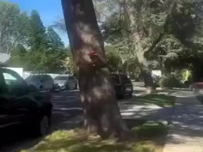 전망좋은 전원주택