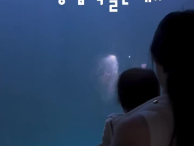 물범이 없어서 아쉬웠는데