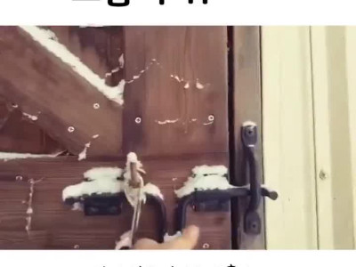 요즘 말도 안나온다는 강추위