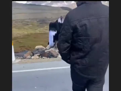 세상에서 가장 큰 새