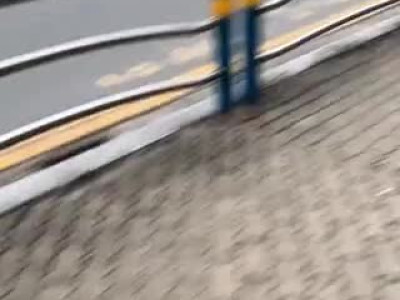 동물병원 앞을 지나가는 강아지