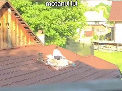 날씨가 따뜻한 어느 유럽 풍경