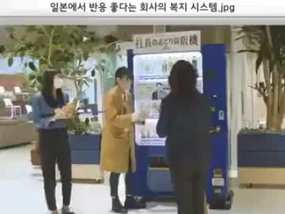 일본에서 반응 좋다는 회사의 복지 시스템