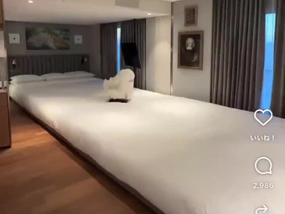 홍대에 실제로 있다는 호텔..jpg