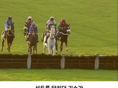 주인이 떨어지자 말이 한 행동.MP4