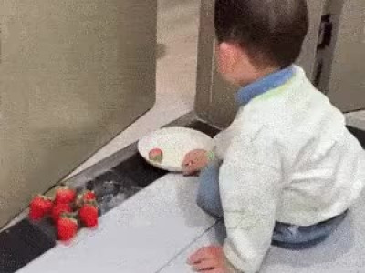 폰지 사기에 대한 조기 교육