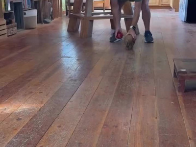 아르마딜로랑 놀아주기.mp4