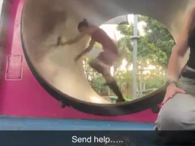 다람쥐통 돌리는 처자