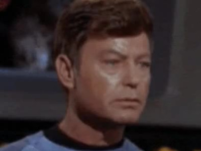 47년 동안 크리스마스 트리를 키운 노부부.jpg