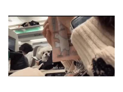 부담스러운 KTX 건너편 좌석 승객의 시선