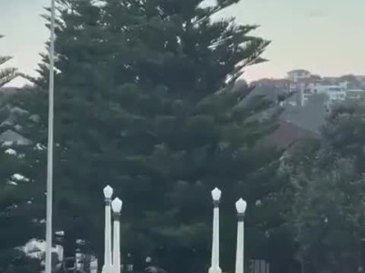 혐) 호주 테러범 1명 사망 1명 중상