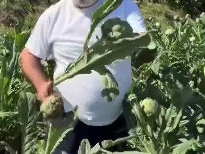 카후 월급