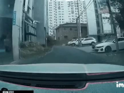 대인대물 3천만원 나온 사고