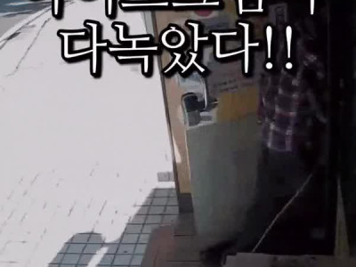 무인 상점 전기 절도로 전량 폐기