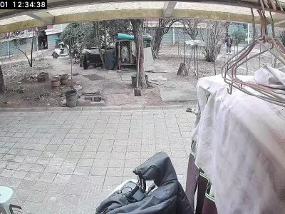 중국에서 역대급 동물 학대 사건 터짐