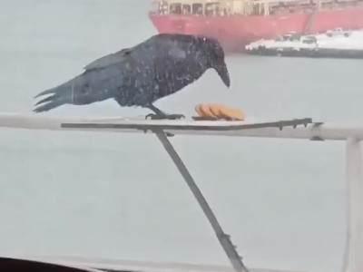 다가져 갈꺼야. 다가져 간다니깐.mp4