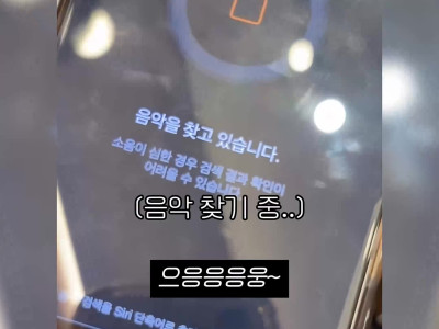 노래 찾기 대참사