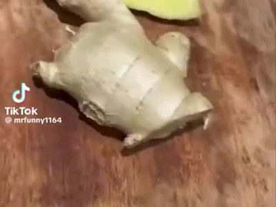 요리잘하는 친구가있으면 생기는일