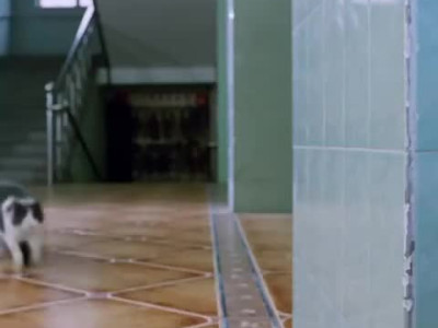 10번 보고서야 Ai인걸 눈치 챈 영상