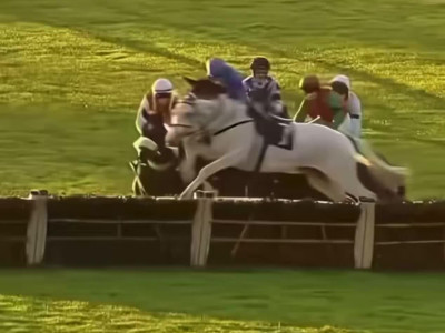 레이싱중 기수가 떨어지자 분탕 존나 치는 말