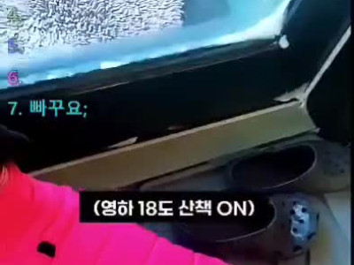 요즘 날씨에 댕댕이들 산책 나가면 벌어지는 일