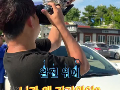 부산에 나타났다는 갈라파고스 군함새