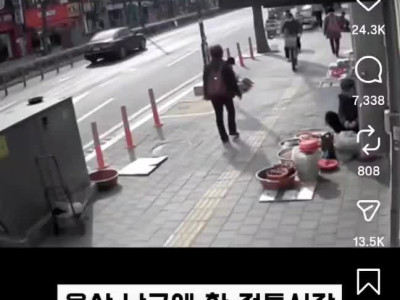 불법 노점 단속반 과잉단속 논란