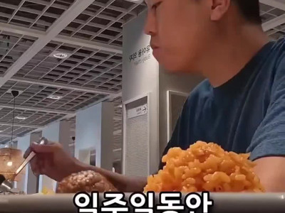 1일 1식을 실천한 결과