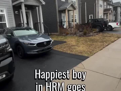 런닝머신 타면서 눈 돌아가는 강아지