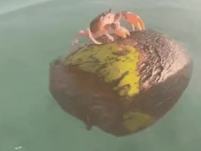 수위 아슬아슬한 게이동영상