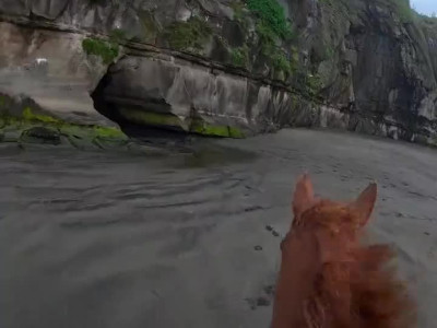 말타는 사람 1인칭 시점