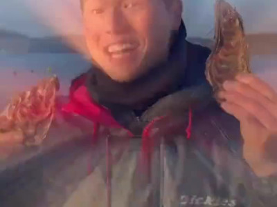 한국풍 굴김치.gif