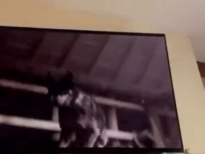 넷플릭스 구독취소를 못하는 이유.GIF