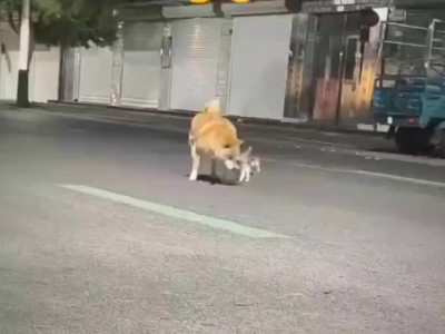 "나 니들 엄마 아냐".mp4