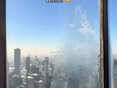 진짜 춥다는 시카고 겨울 수준