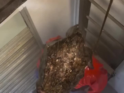 원양어선 오래타면 안되는 이유