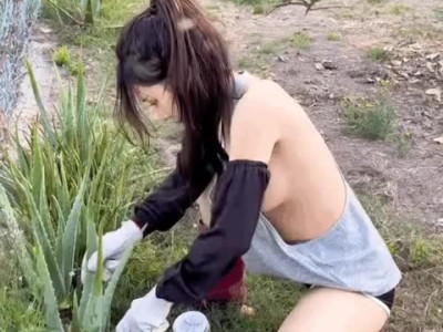 알로에 수확하는 누나