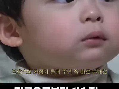 최민수 노인 폭행사건의 진실.jpg
