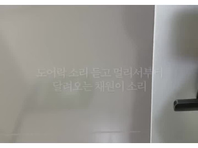 딸램의 아빠 퇴근 리액션